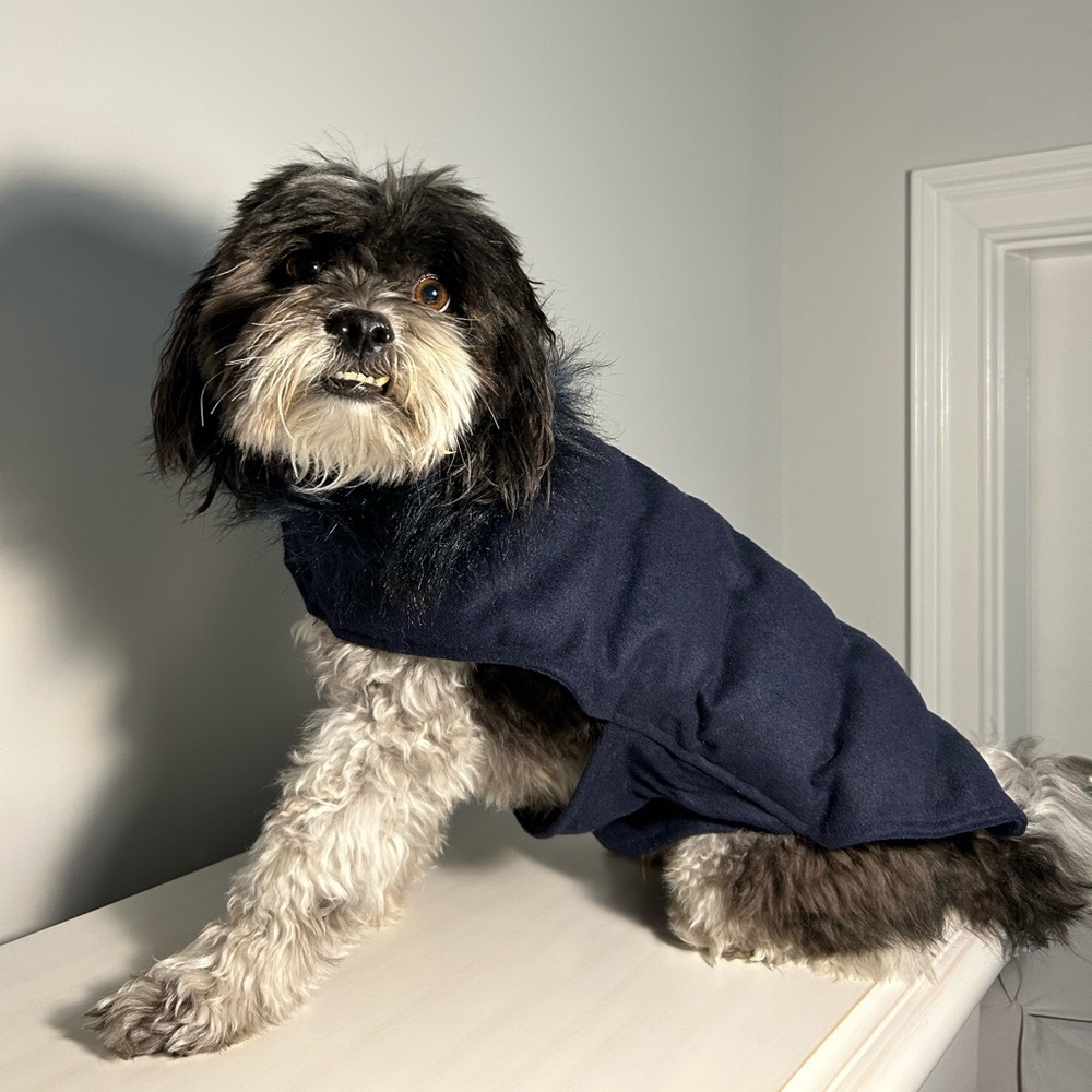Medium Dark Blue Puffer jacket for dogs